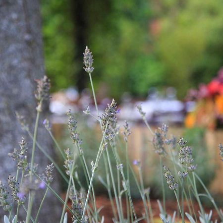 Podere La Miniera Relax & Food Siena Dış mekan fotoğraf