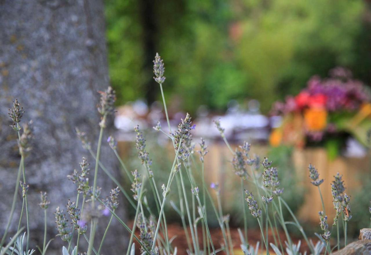 Podere La Miniera Relax & Food Siena Dış mekan fotoğraf
